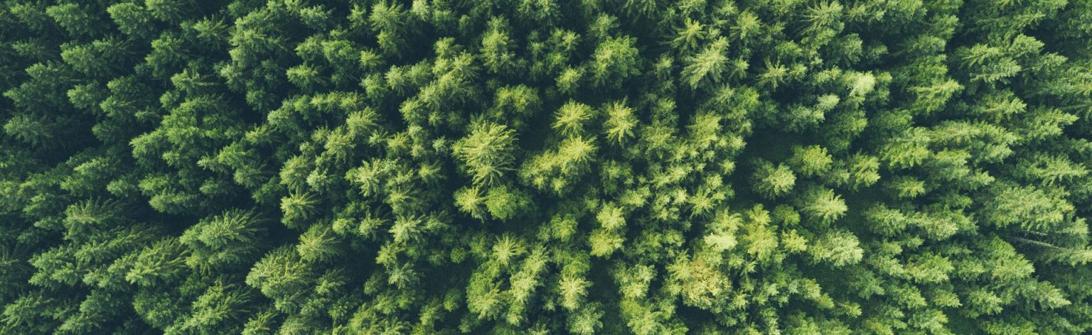 Environmental Future