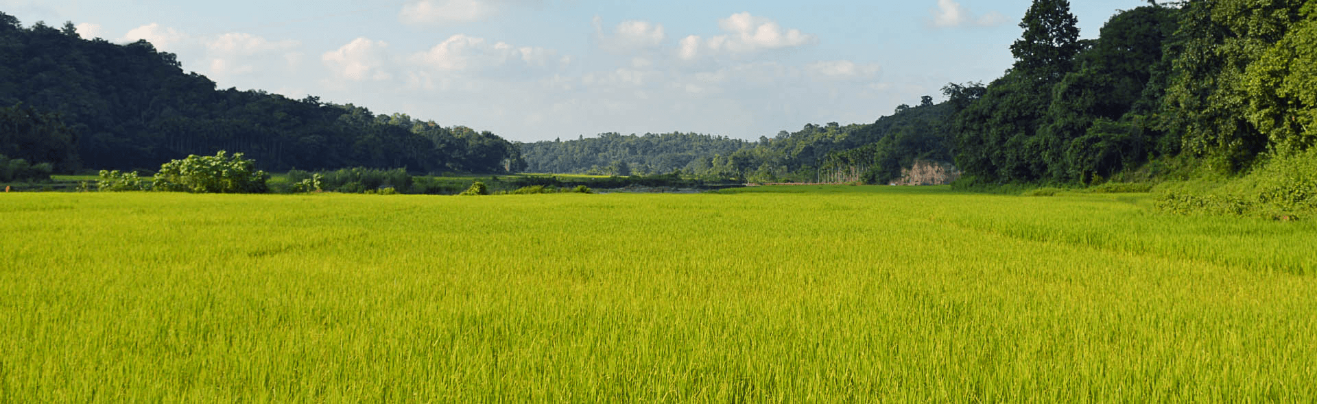 Agriculture and Logistics