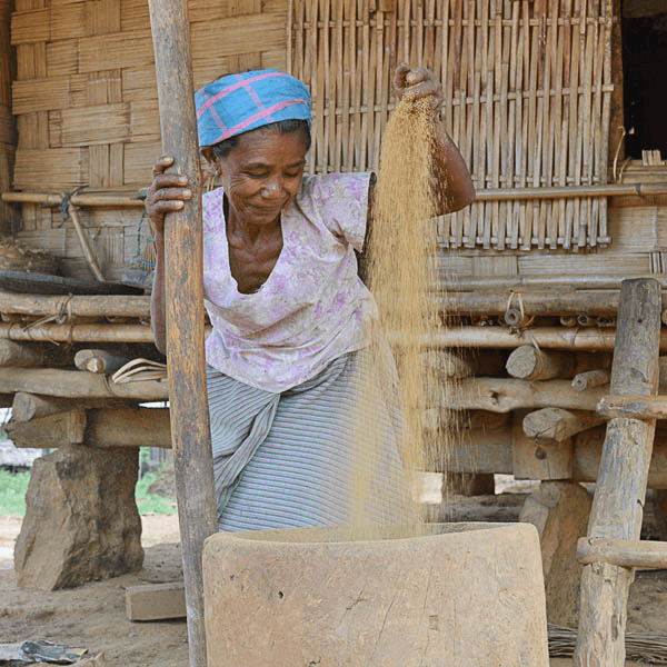 Agriculture Practice